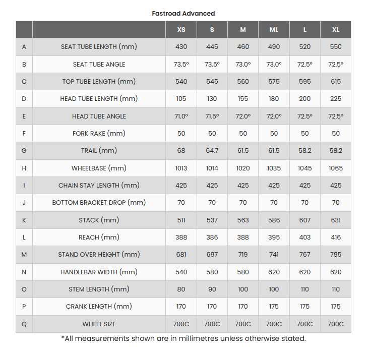GIANT FASTROAD ADVANCED 1 Starry Night