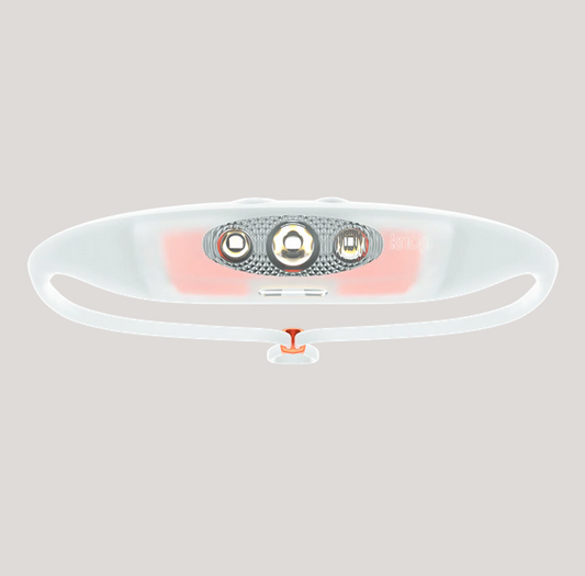 KNOG Bandicoot Run 250