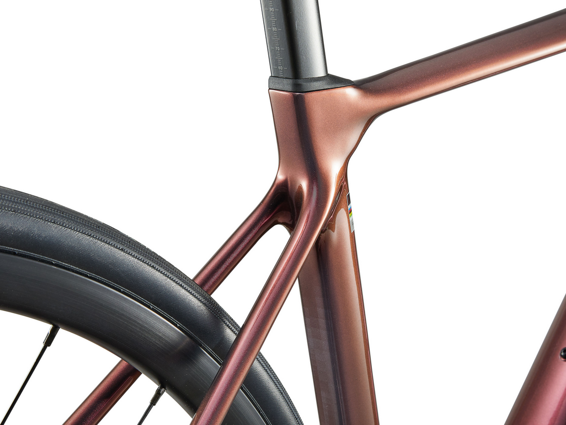 Giant Langma Advanced 1-QOM Mechanic Rose