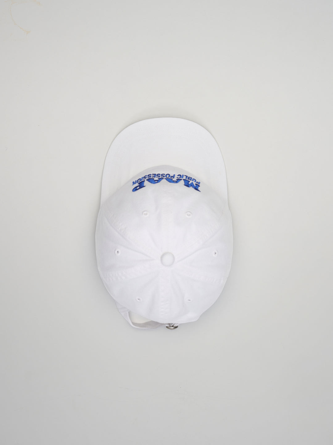MAAP + PUBLIC POSSESSION 6 Panel Cap
