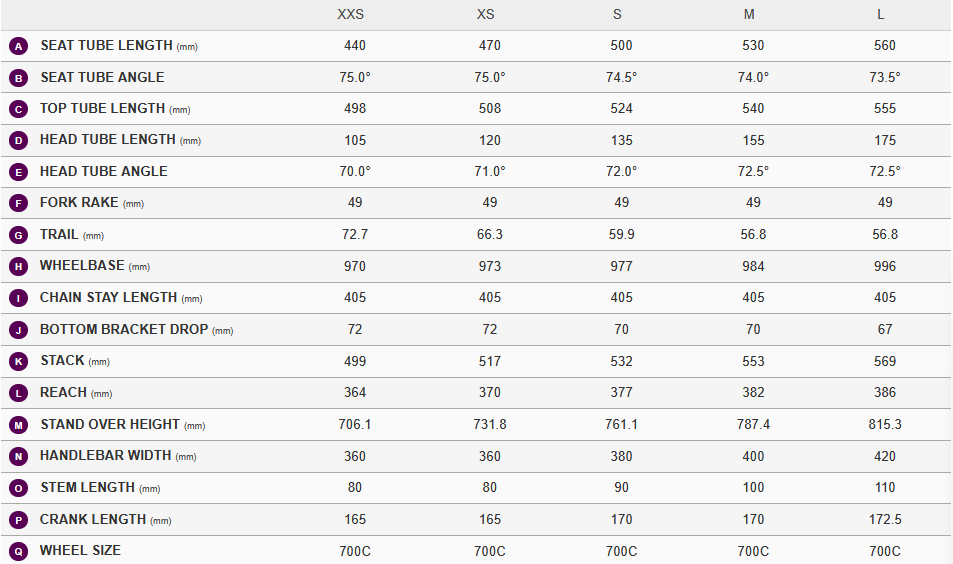 Giant EnviLiv Advanced 2 Prismatic Haze
