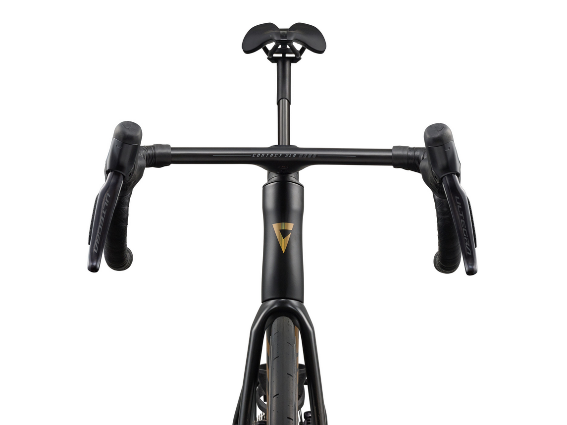 GIANT Propel Advanced SL 1 Raw Carbon